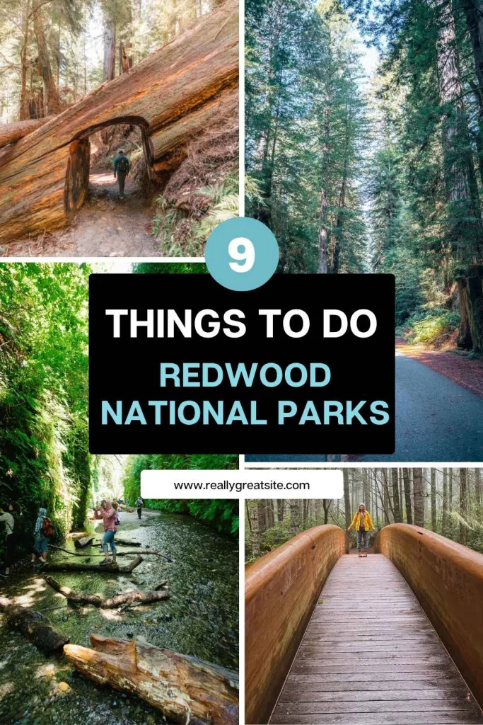 Best Things to Do in Redwood National and State Parks
