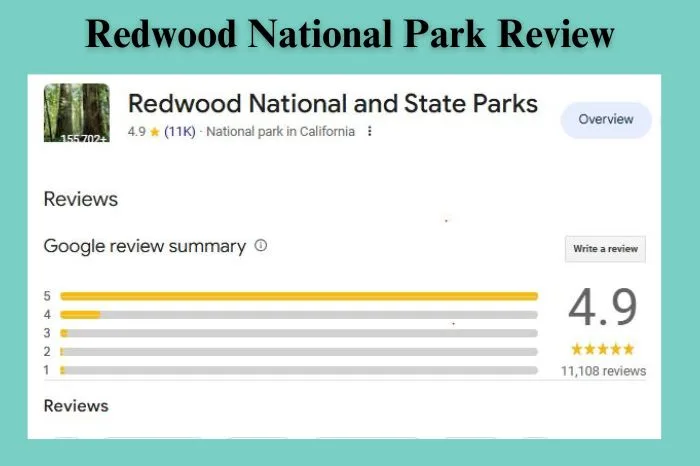 What Visitors Say — Redwood National Park Reviews & Honest Tips From My Visit