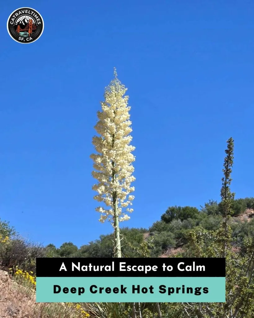 Deep Creek Hot Springs A Natural Escape to Calm