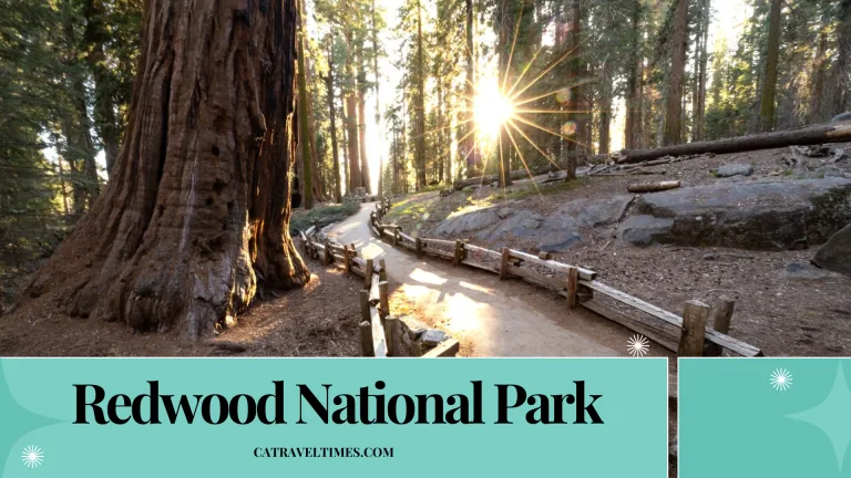 Redwood National Park