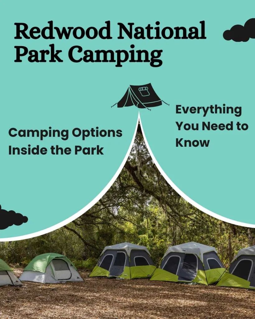 Redwood National Park Camping — Everything You Need to Know