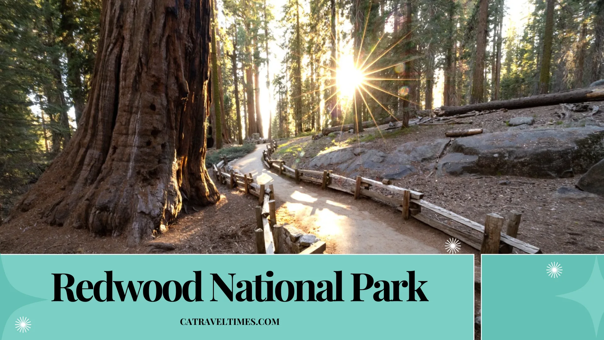 Redwood National Park