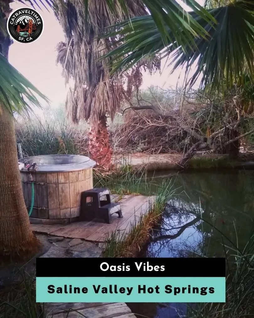 Saline Valley Hot Springs Oasis Vibes