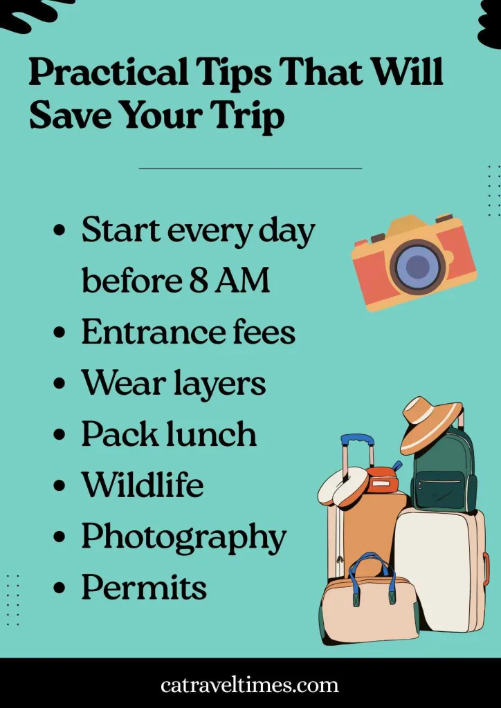 Practical Tips That Will Save Your Trip