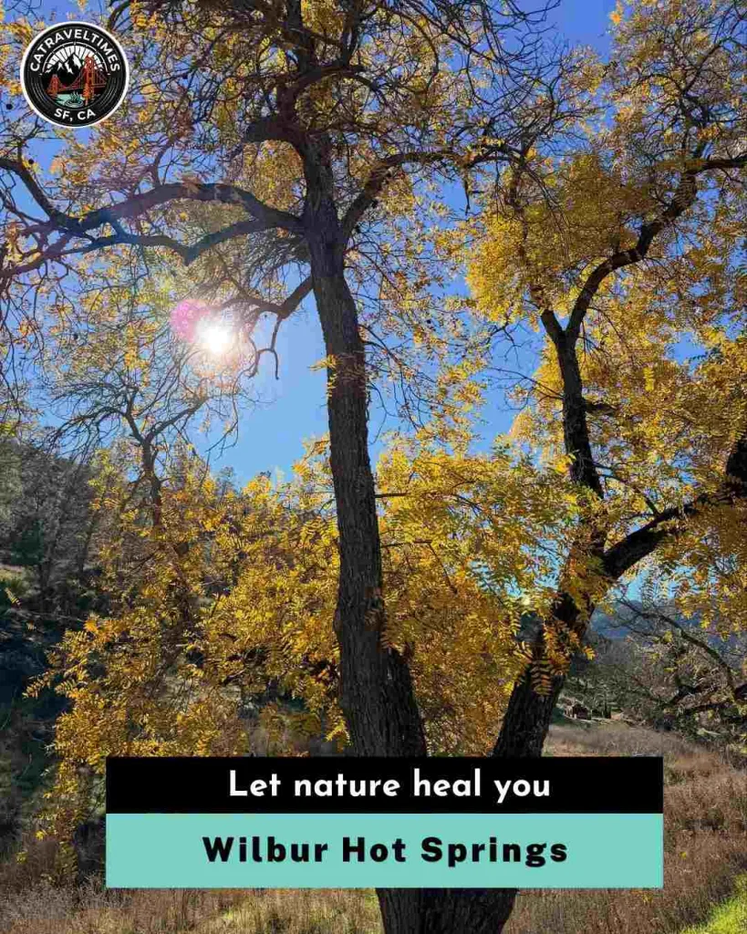 Wilbur Hot Springs Let nature heal you