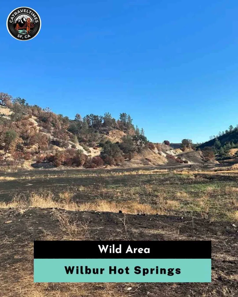 Wilbur Hot Springs Wild area