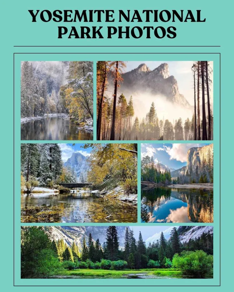 Yosemite National Park Photos The Best Spots for Photography