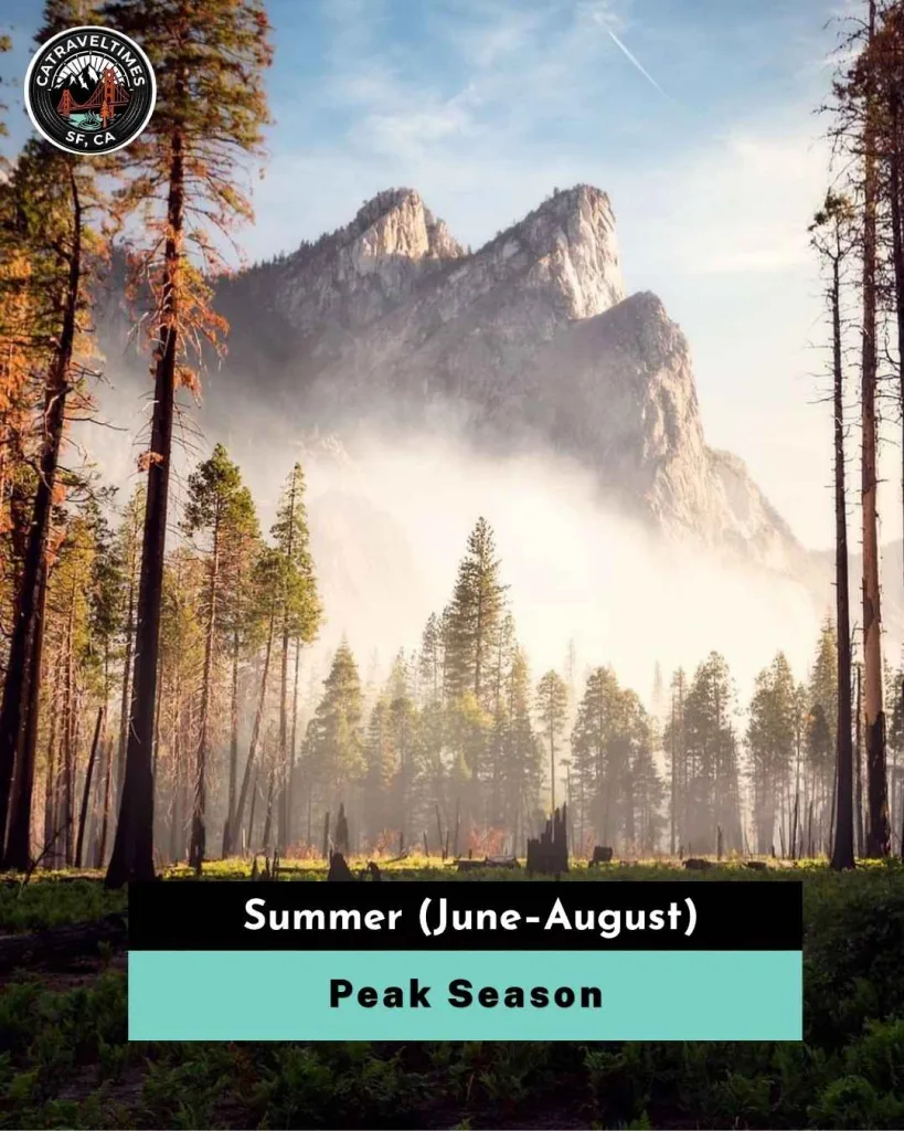 Summer (June–August) — Peak Season
