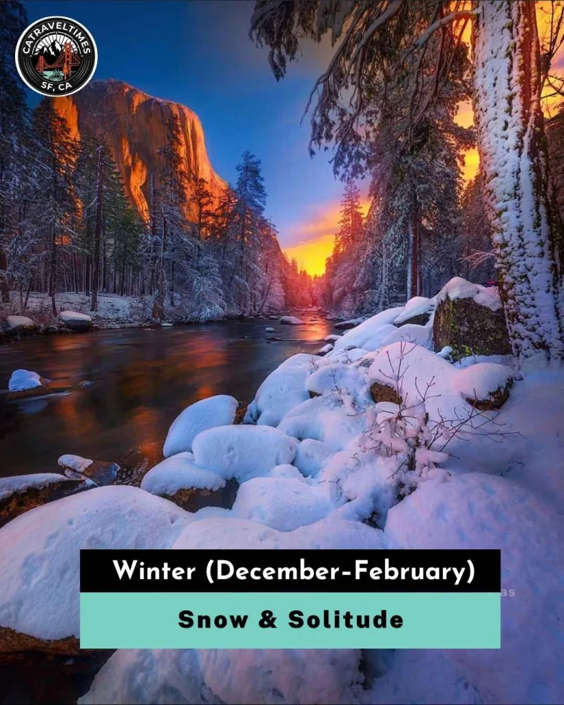 Winter (December–February) — Snow & Solitude