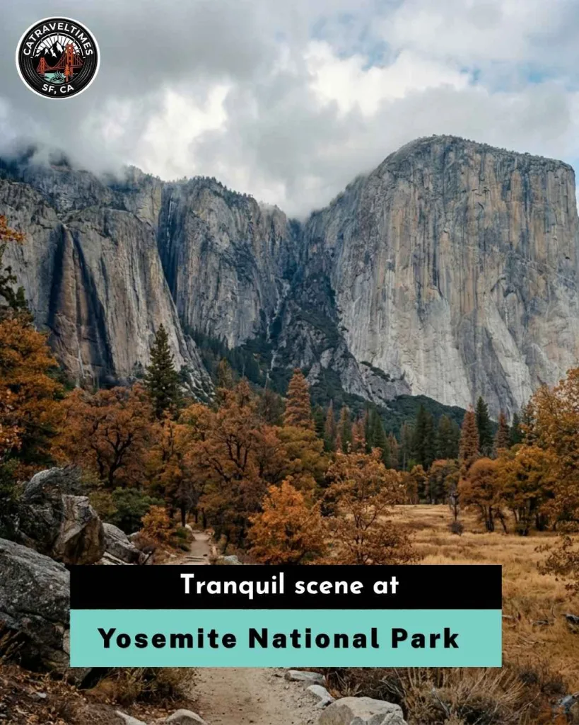 Yosemite National Park Photos Gallery: