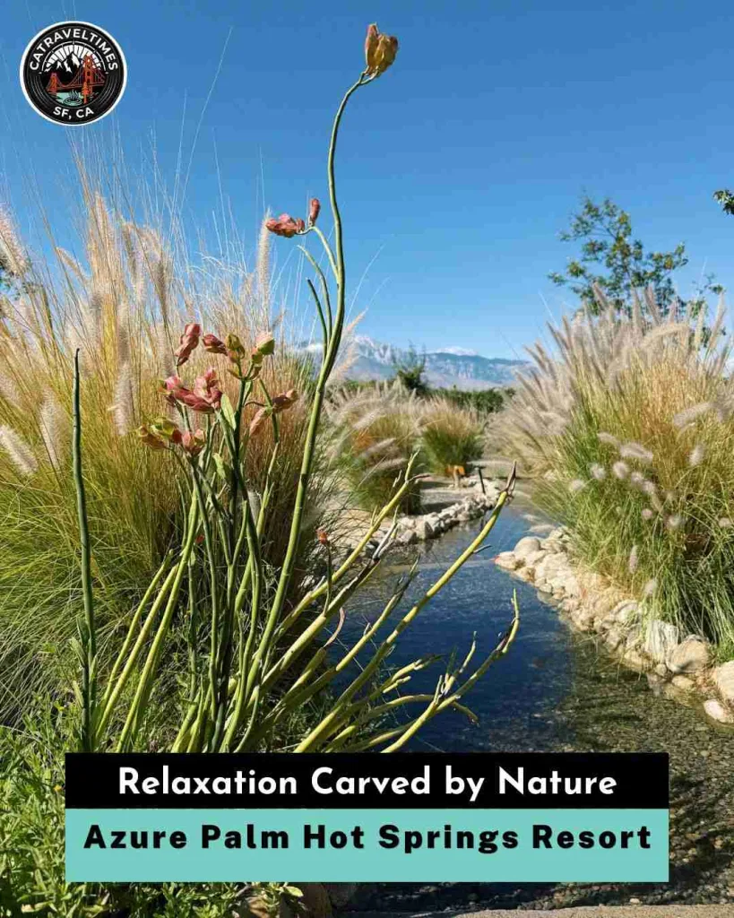 Azure Palm Hot Springs Resort & Day Spa Oasis, CA: Updated Guide 2026 6 Azure Palm Hot Springs Resort Relaxation Carved by Nature