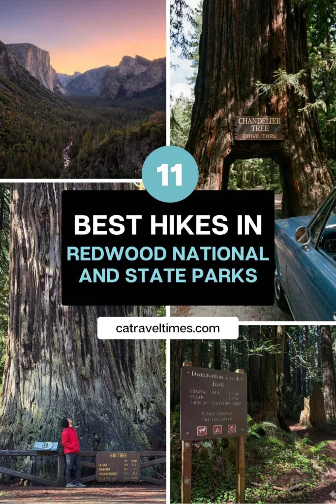 11 Best Hikes in Redwood National and State Parks (Complete Trail Guide) 2 Best Hikes in Redwood National and State Parks