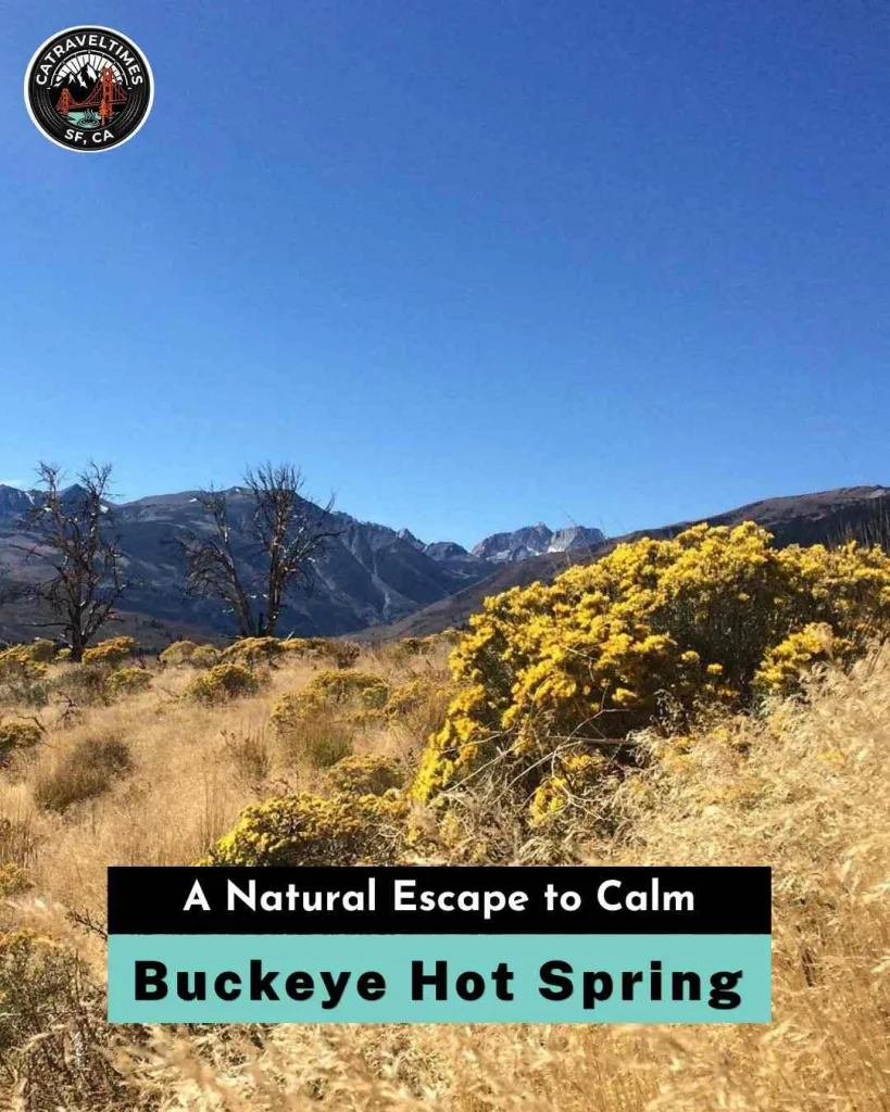 Buckeye Hot Springs A Natural Escape to Calm