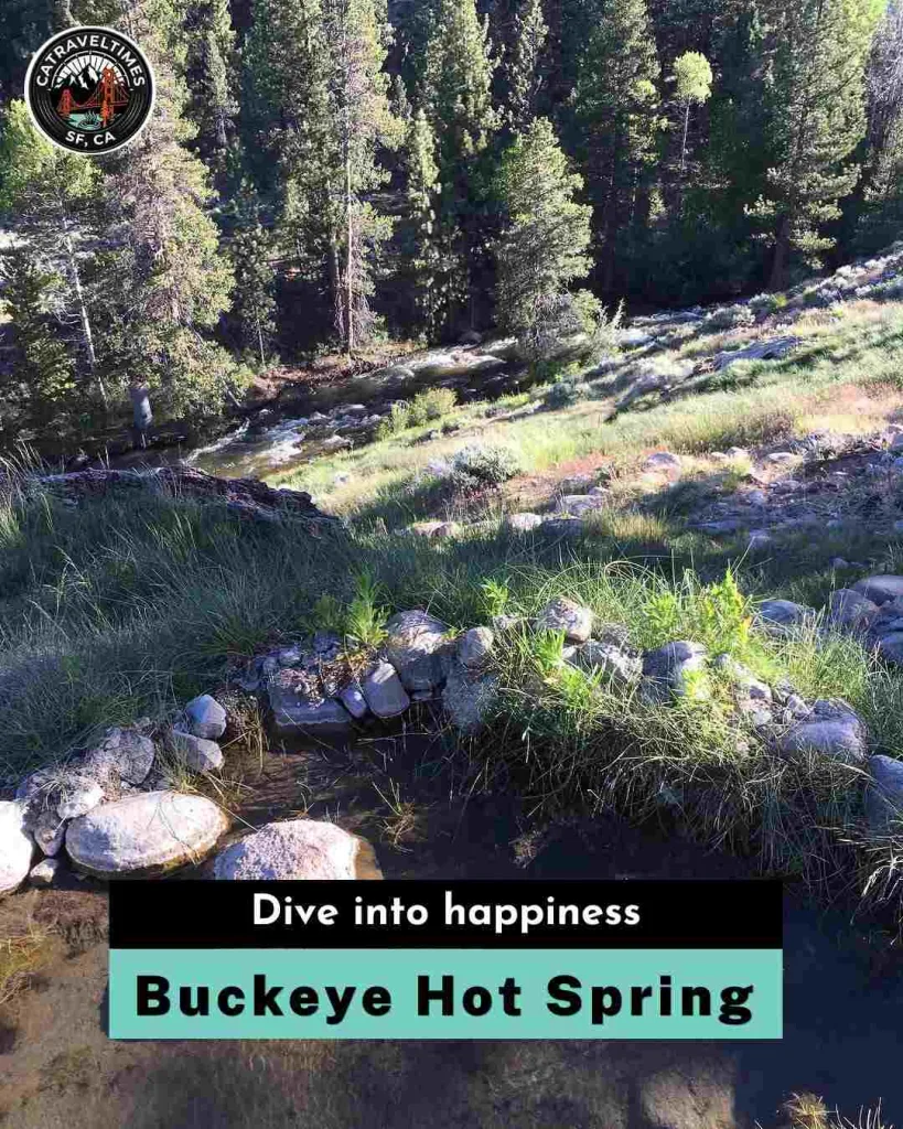 Buckeye Hot Springs Dive into Happiness