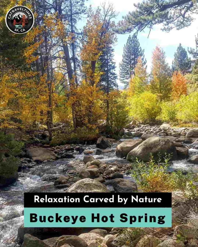 Buckeye Hot Springs Relaxation Carved by Nature