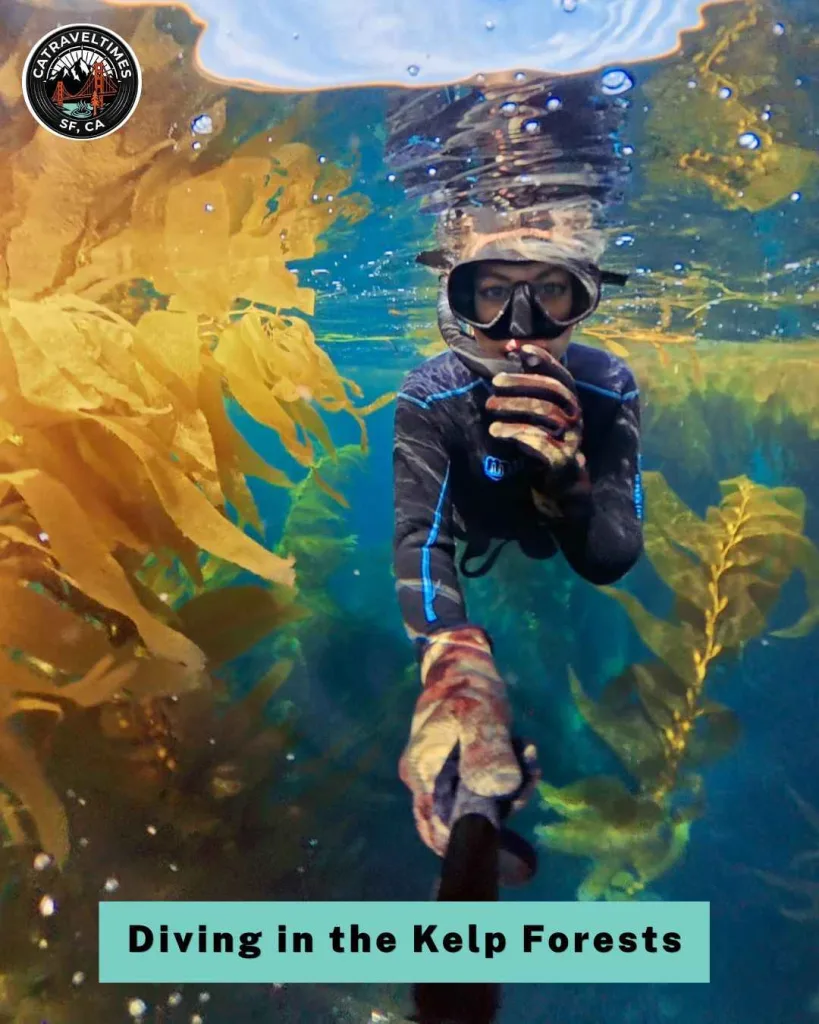 10+ Best Things to Do in Channel Islands National Park (2026 Complete Guide) 3 Snorkeling and Diving in the Kelp Forests