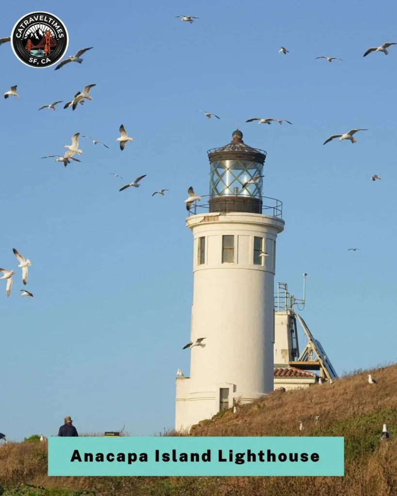 10+ Best Things to Do in Channel Islands National Park (2026 Complete Guide) 9 Visiting Anacapa Island Lighthouse