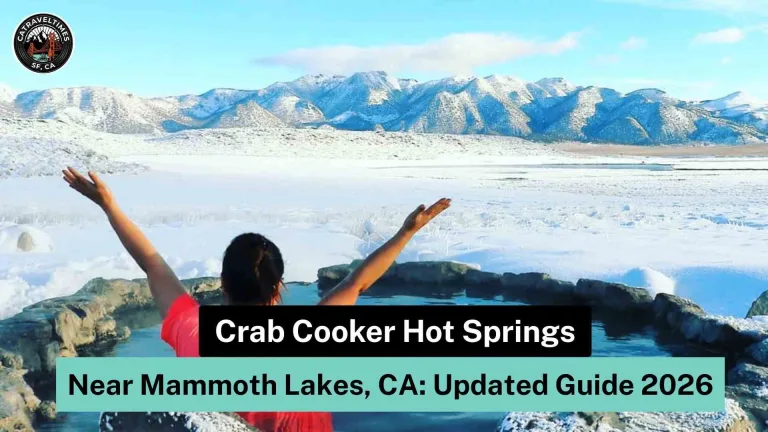 Crab Cooker Hot Springs