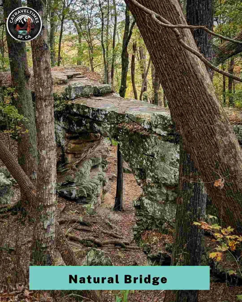 Natural Bridge (11:15 AM)