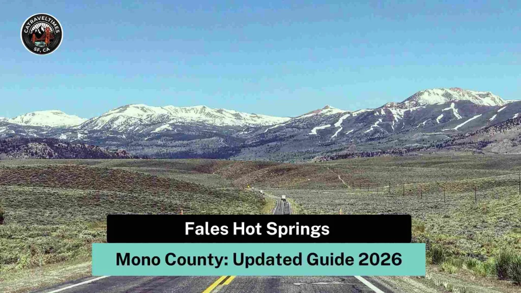 Fales Hot Springs