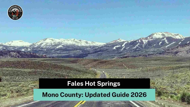 Fales Hot Springs