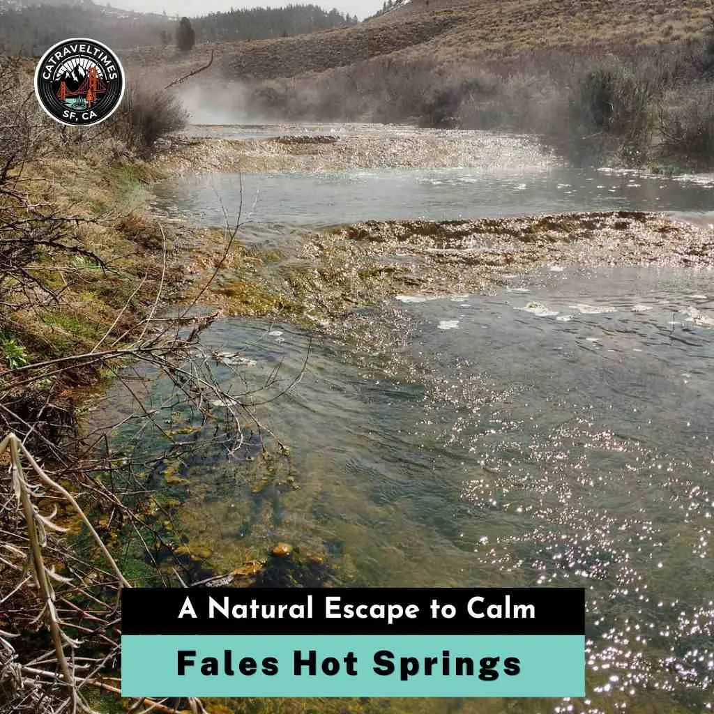 Fales Hot Springs A Natural Escape to Calm