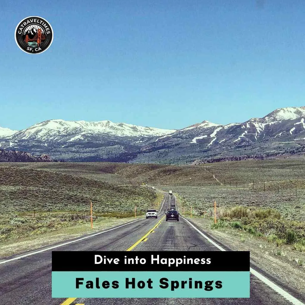 Fales Hot Springs Dive into Happiness