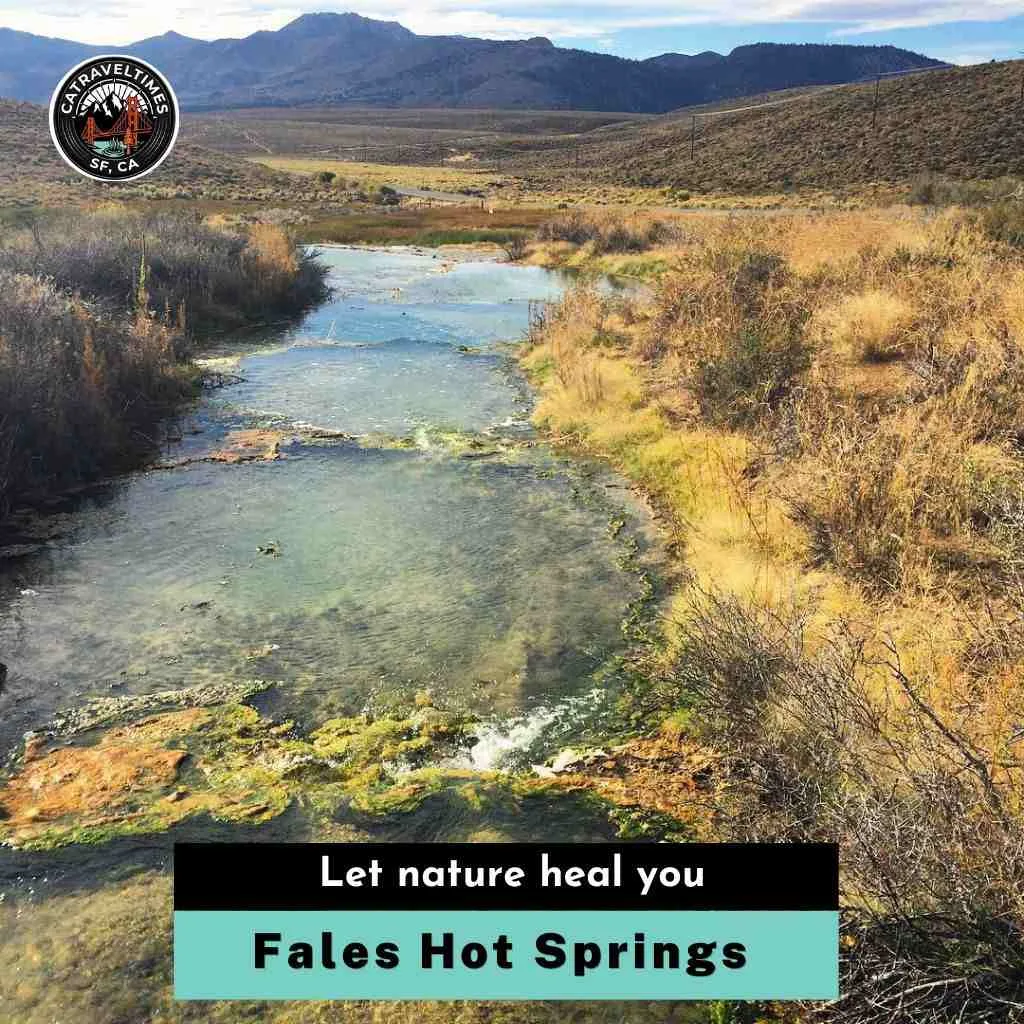 Fales Hot Springs Let nature heal you