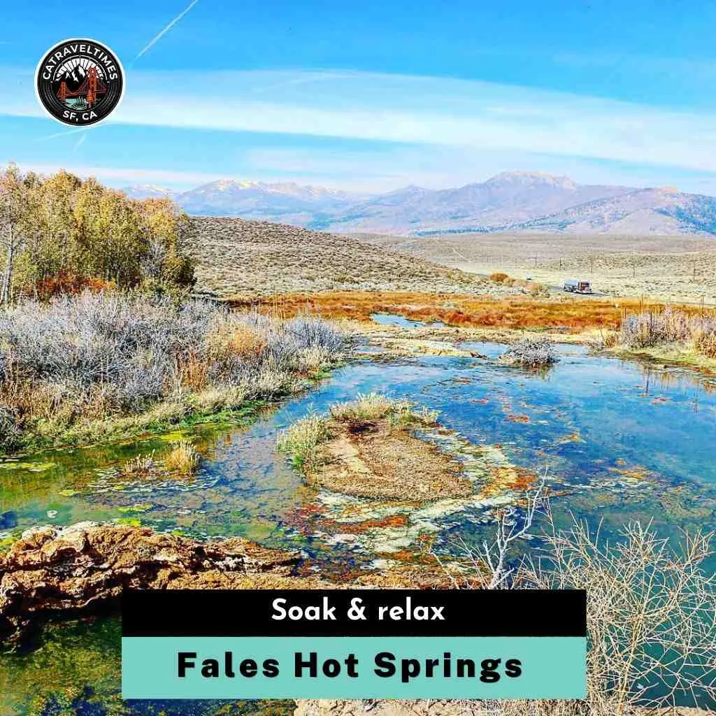 Fales Hot Springs Soak & relax