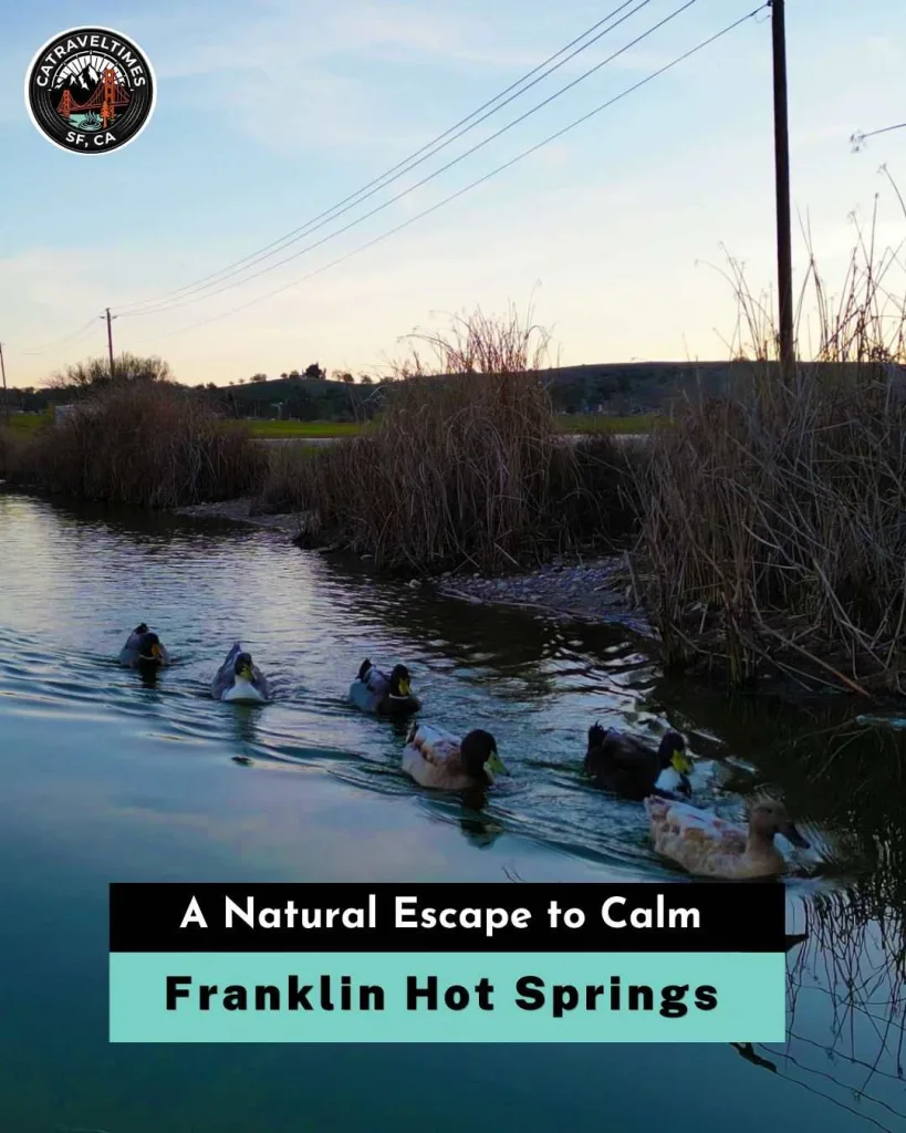 Franklin Hot Springs A Natural Escape to Calm
