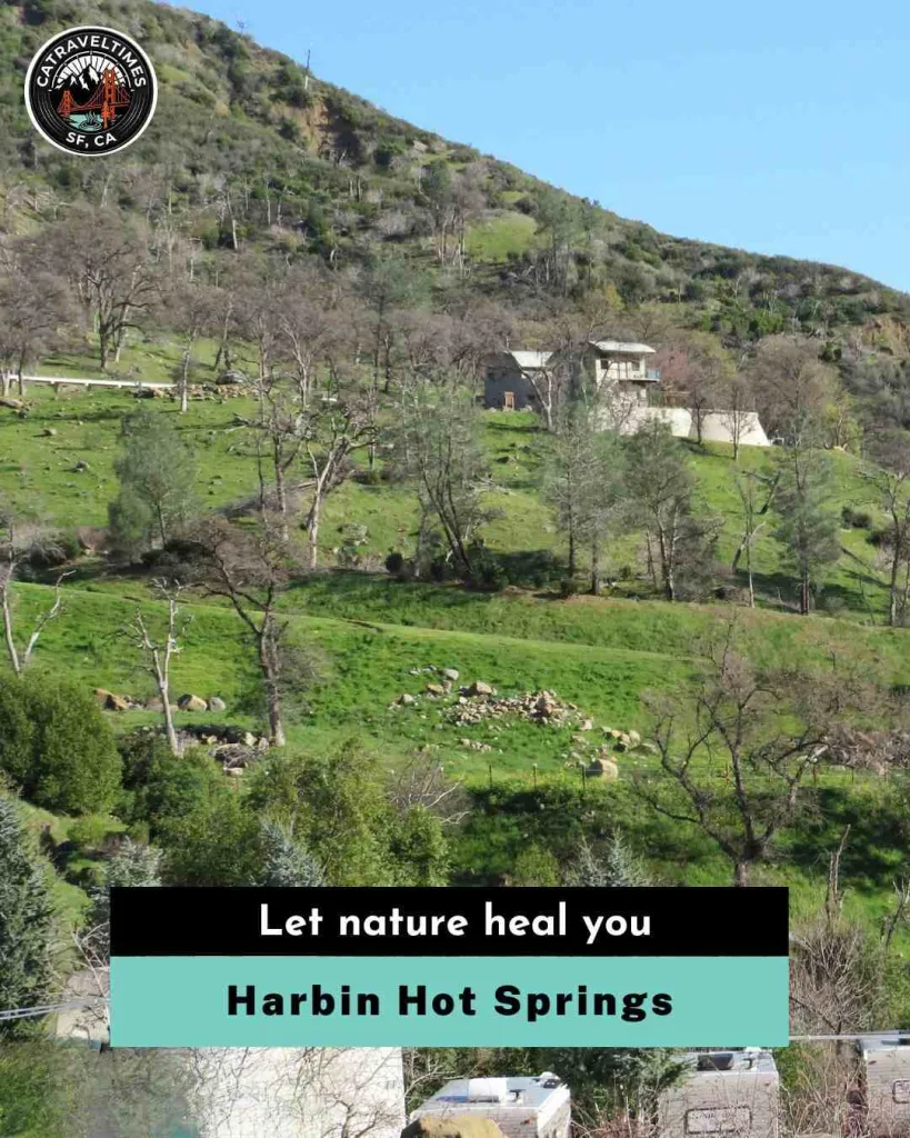 Harbin Hot Springs Let nature heal you