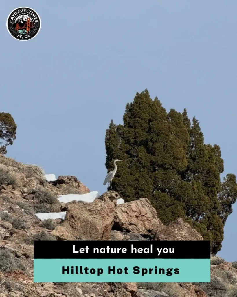Hilltop Hot Springs Let nature heal you