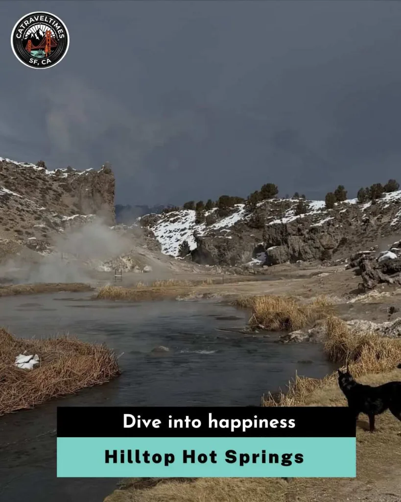 Hilltop Hot Springs Dive into Happiness 