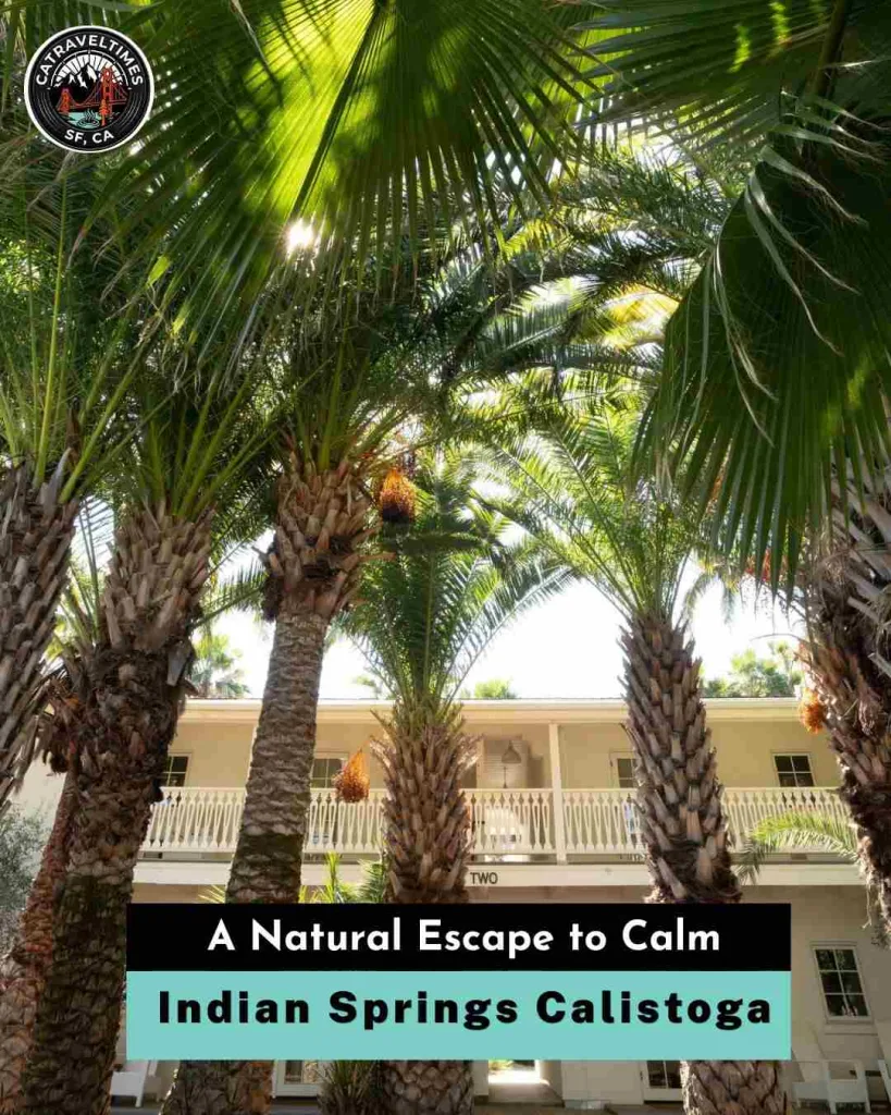 Indian Springs Calistoga A Natural Escape to Calm