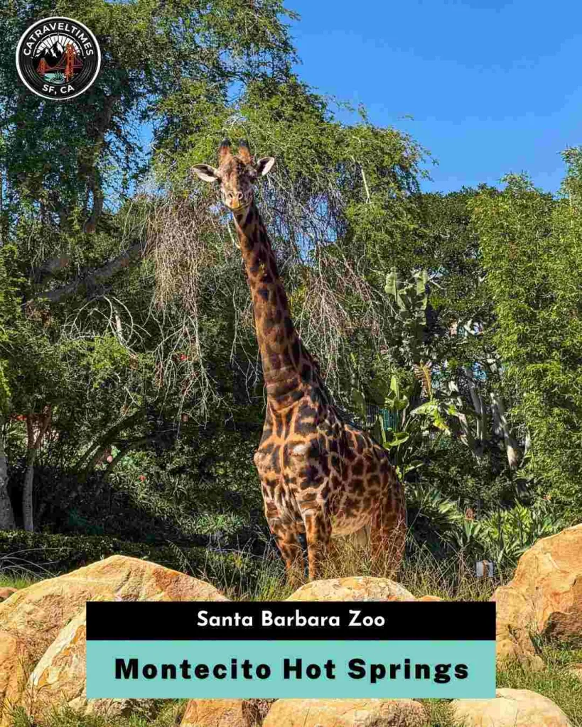 Things to Do at Montecito Hot Springs Santa Barbara Zoo