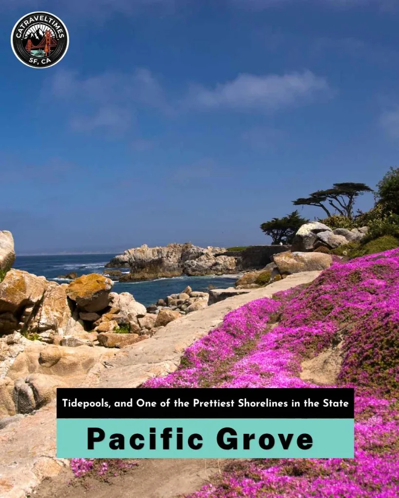 Pacific Grove — Butterflies, Tidepools, and One of the Prettiest Shorelines in the State