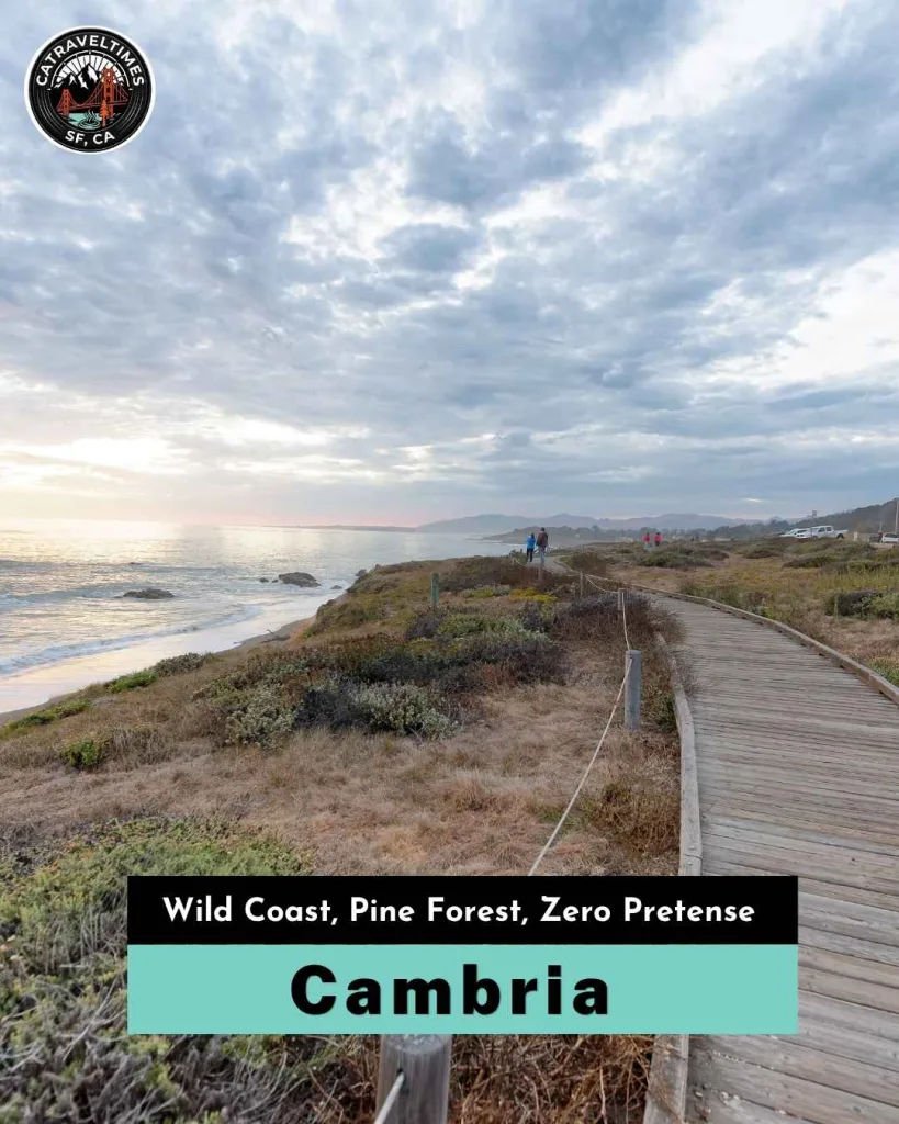 Cambria — Wild Coast, Pine Forest, Zero Pretense