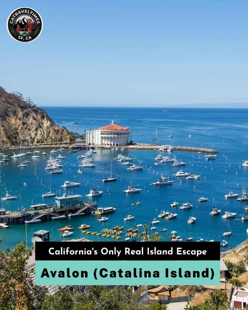 Avalon (Catalina Island) — California's Only Real Island Escape