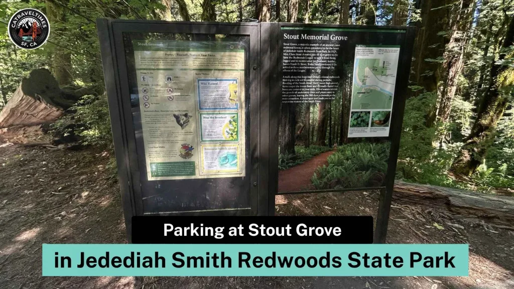 Parking at Stout Grove in Jedediah Smith Redwoods State Park 
