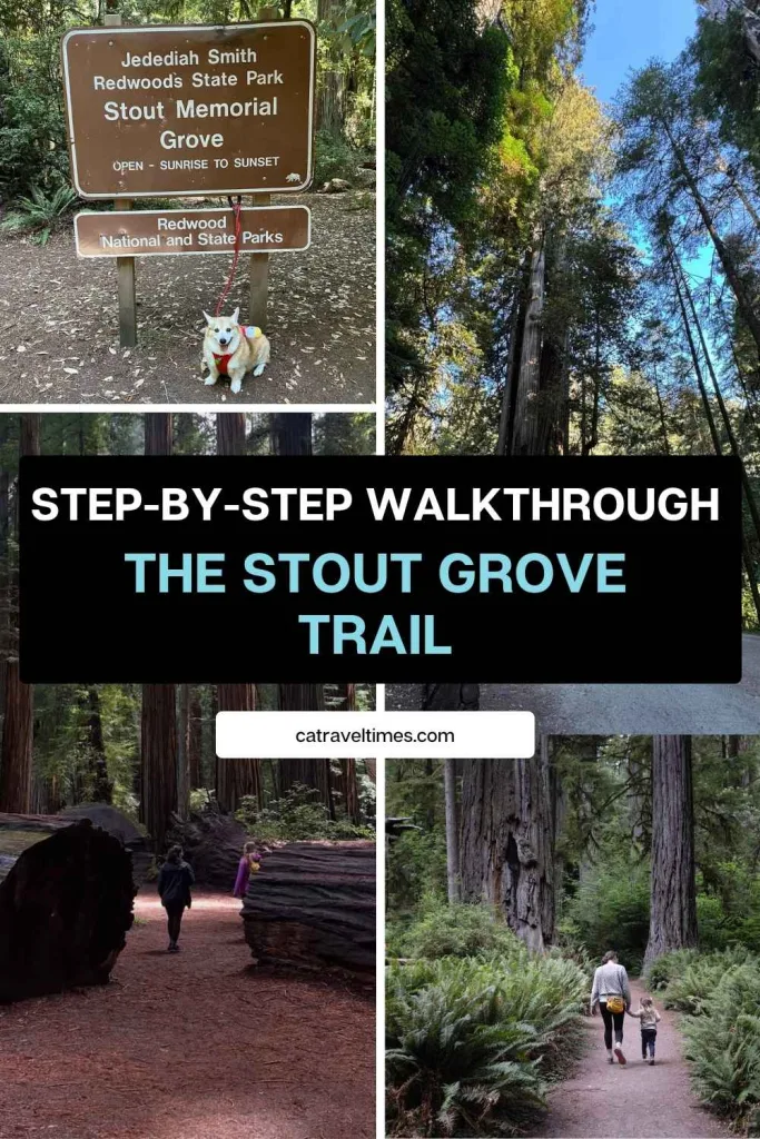 The Stout Grove Trail — Step-by-Step Walkthrough