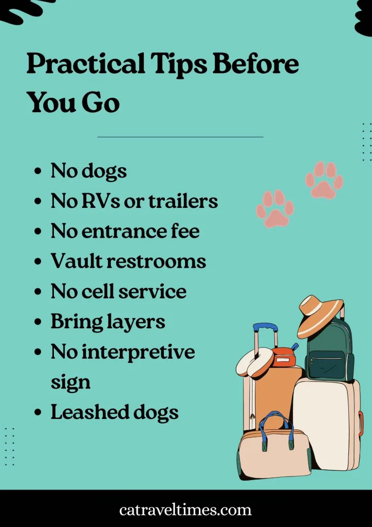 Practical Tips Before You Go