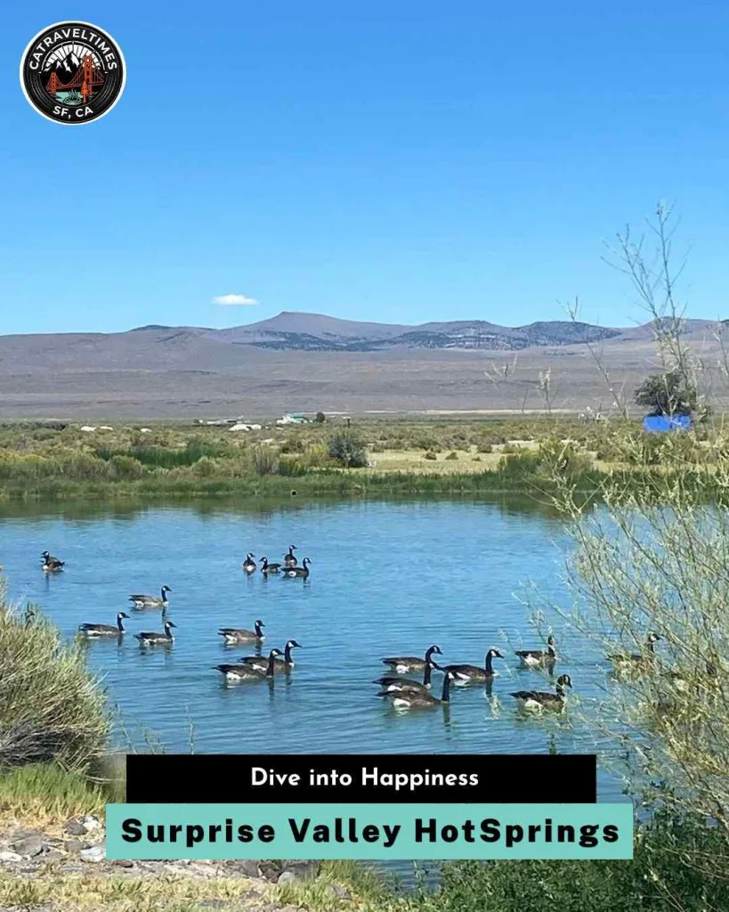 Surprise Valley HotSprings Dive into Happiness