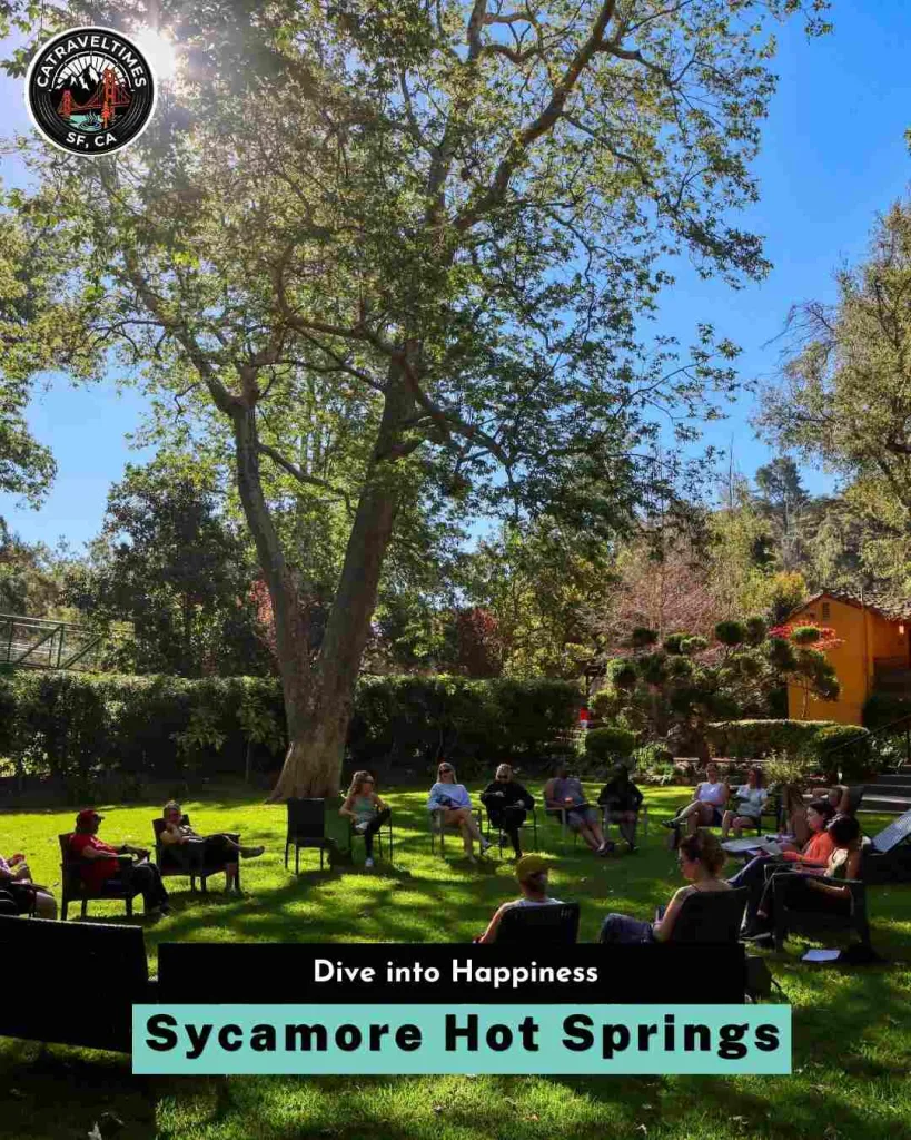 Sycamore Hot Springs Dive into Happiness