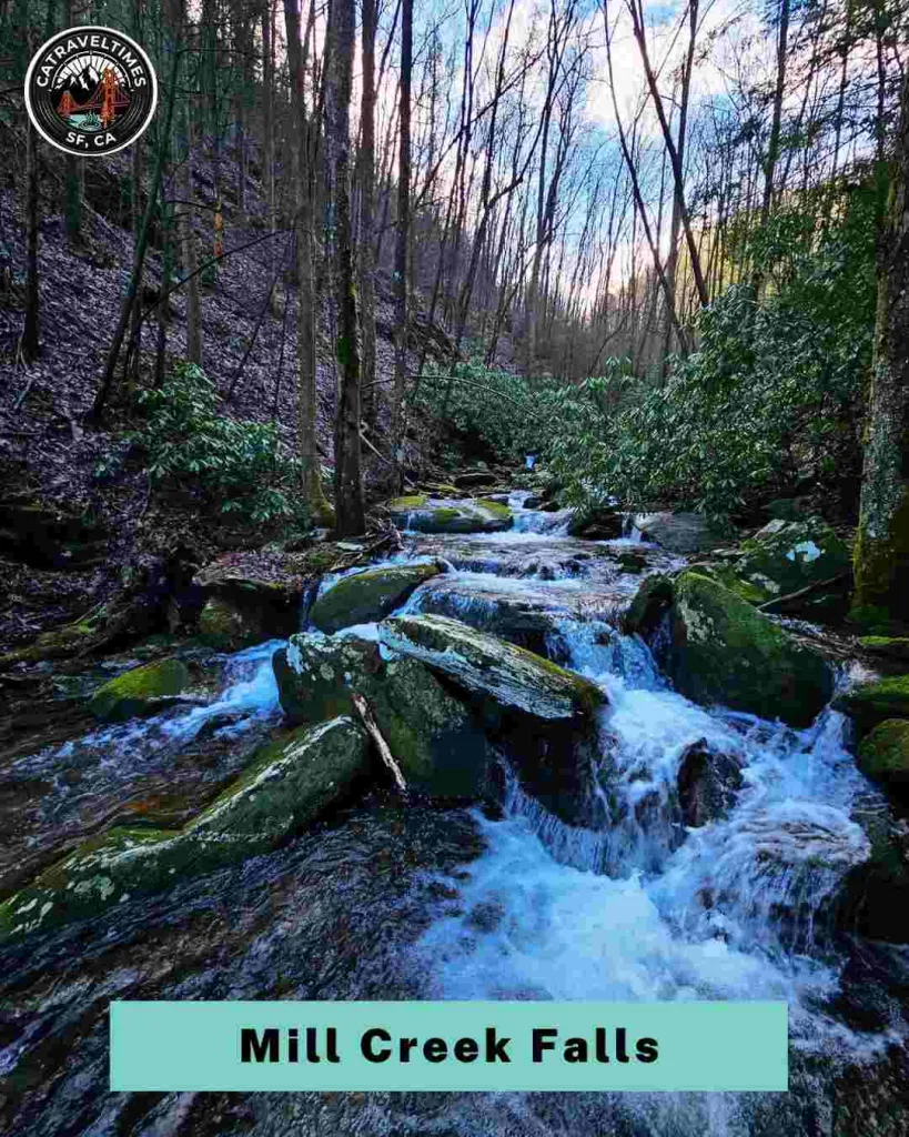 Hike to Mill Creek Falls