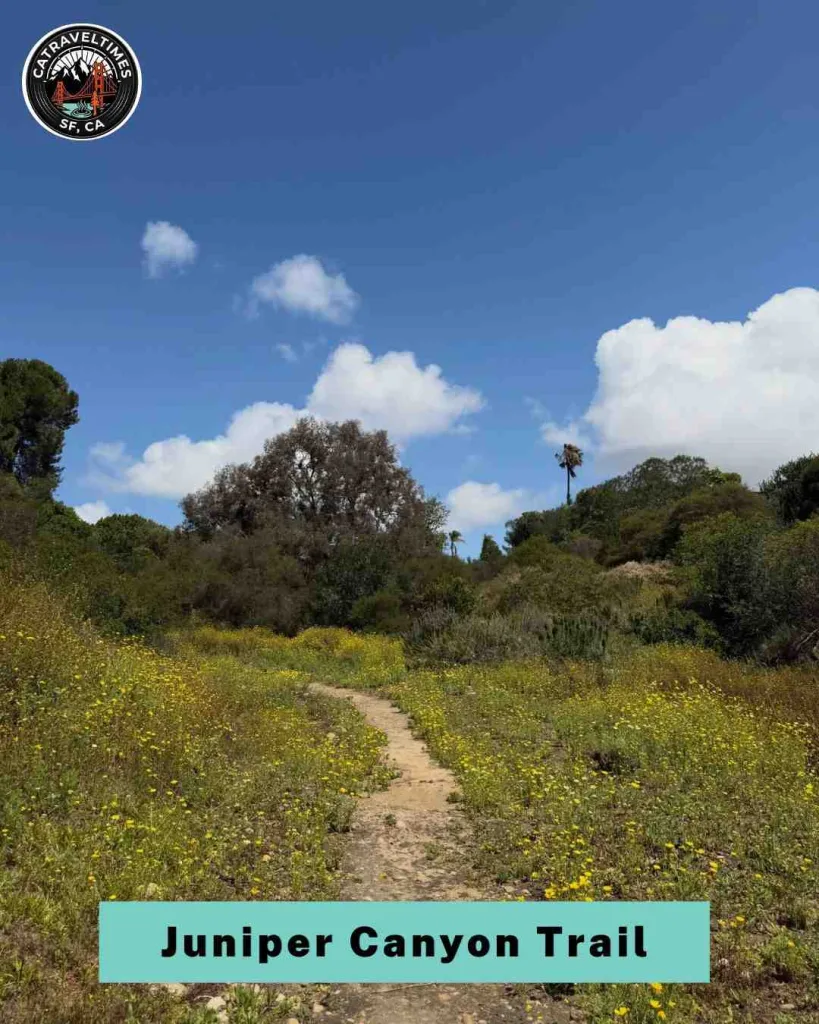 10 Things to Do in Pinnacles National Park in Central California (2026 Guide) 10 Hike the Juniper Canyon Trail