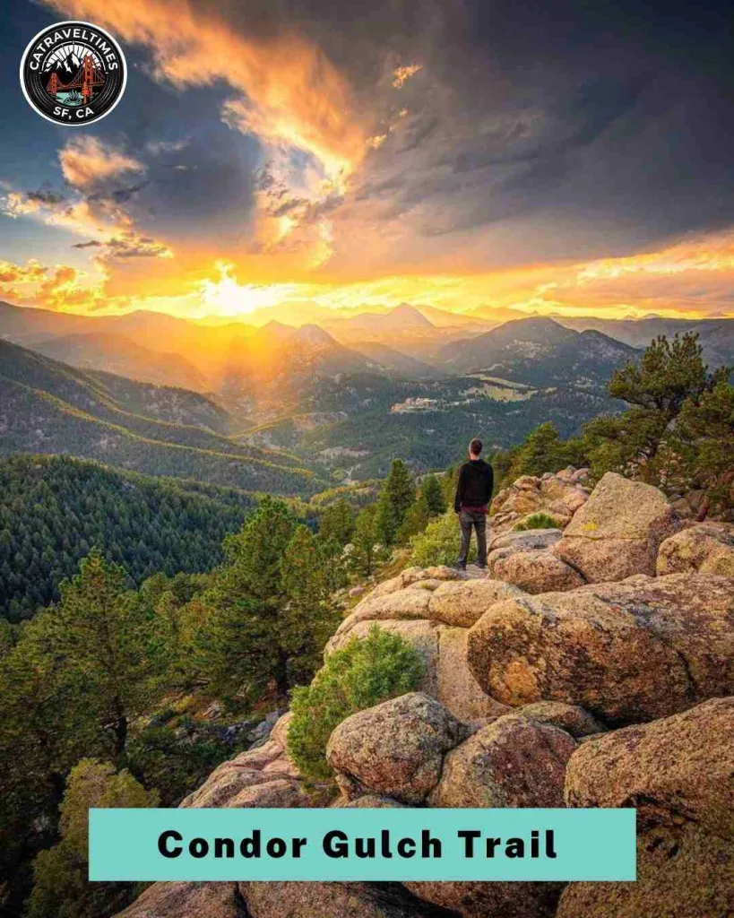 10 Things to Do in Pinnacles National Park in Central California (2026 Guide) 9 Walk the Condor Gulch Trail & Overlook