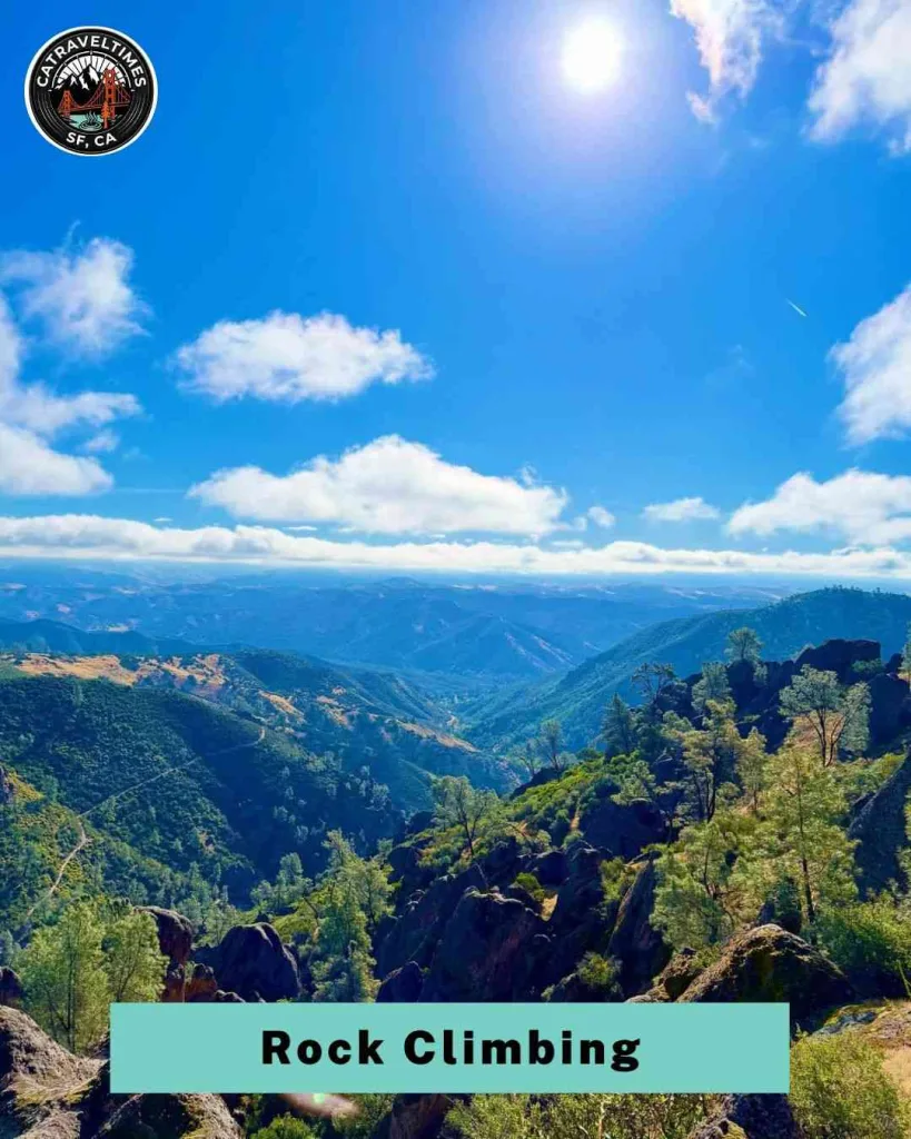 10 Things to Do in Pinnacles National Park in Central California (2026 Guide) 8 See the Spring Wildflowers