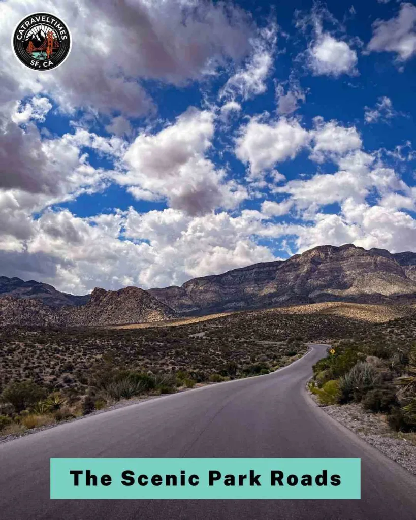 10 Things to Do in Pinnacles National Park in Central California (2026 Guide) 12 Bike or Drive the Scenic Park Roads