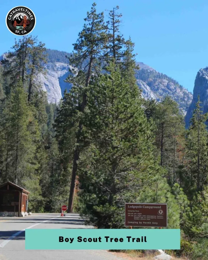 11 Best Hikes in Redwood National and State Parks (Complete Trail Guide) 6 THINGS TO DO Yosemite National Park 1