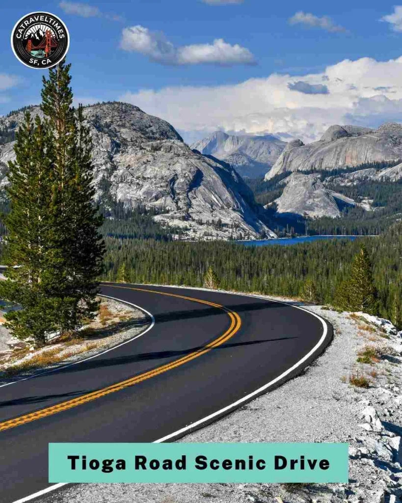 Take the Tioga Road Scenic Drive